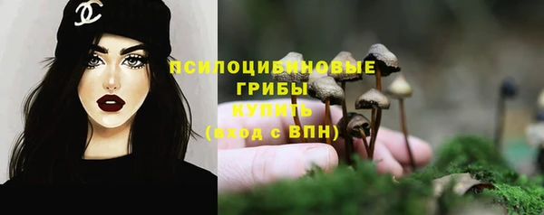 прущие крисы Приозерск