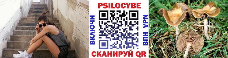 мега ONION  Рассказово  Псилоцибиновые грибы прущие грибы 